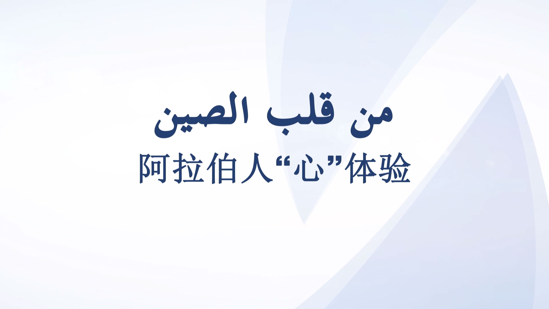 阿拉伯人心体验：扩大进口共享中国市场